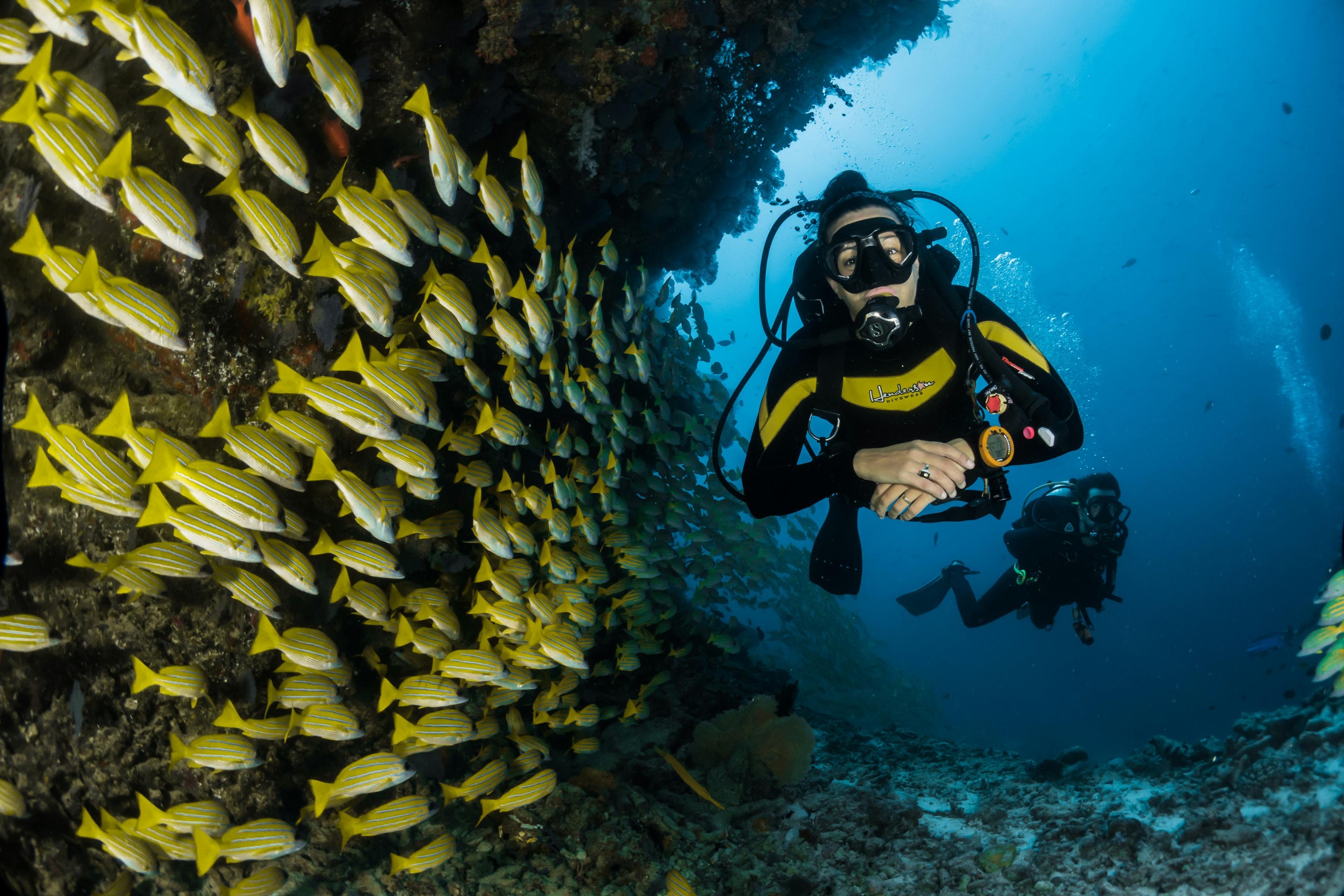 Plongée Grande Barrière de Corail